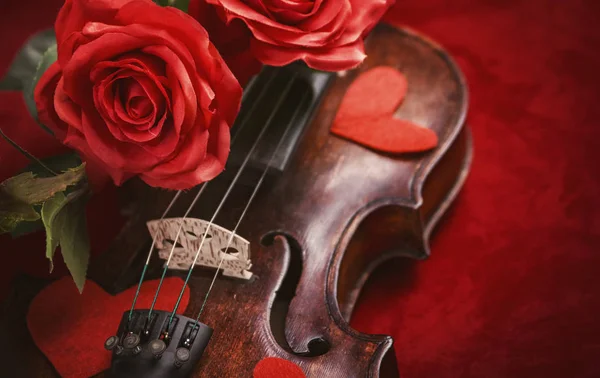 Violino di San Valentino con rose rosse su sfondo rosso scuro — Foto Stock