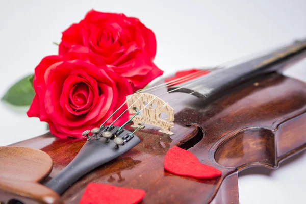 Violon Saint-Valentin recouvert de roses et de pétales de coeur — Photo