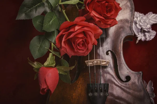 Valentine violin with red roses on a dark red background — Stock Photo, Image