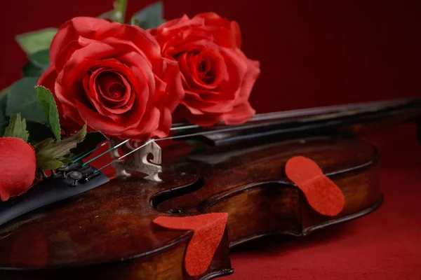 Скрипка Валентина с красными розами на темно-красном фоне — стоковое фото