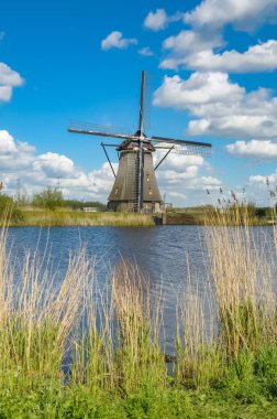 Rotterdam, Hollanda yakınındaki doğal'daki yel değirmenleri