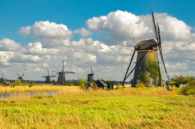 Rotterdam, Hollanda yakınındaki doğal'daki yel değirmenleri