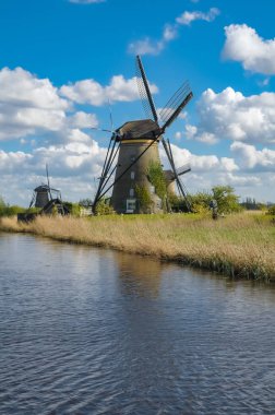 Rotterdam, Hollanda yakınındaki doğal'daki yel değirmenleri
