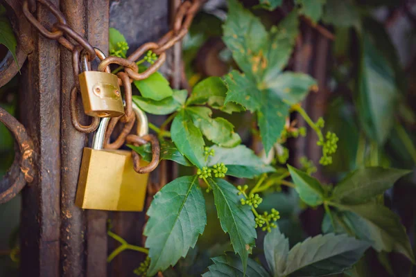 Old ancient locks on a chain — Stock Photo, Image