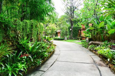 Yeşil bir parkın içinde çimento yolu