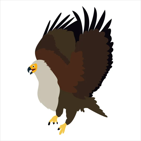 Mignon Animal Aigle Clip Art Oiseau Illustration Dessin Animé Personnage — Image vectorielle