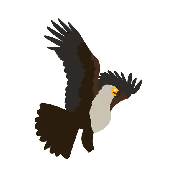 Mignon Animal Aigle Clip Art Oiseau Illustration Dessin Animé Personnage — Image vectorielle