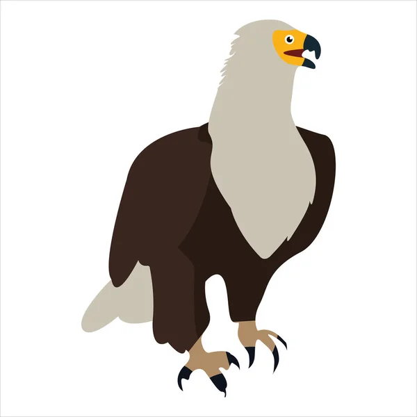 Sevimli hayvan kartalı klipsi sanat kuşu resimli çizgi film karakteri