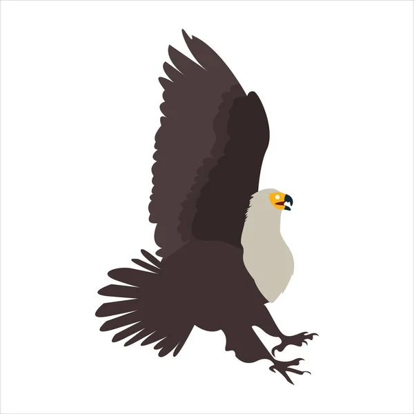 Sevimli hayvan kartalı klipsi sanat kuşu resimli çizgi film karakteri