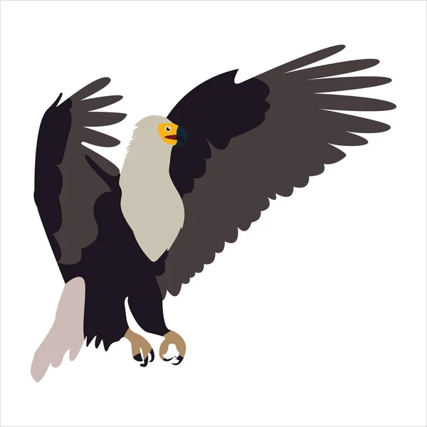Bonito Animal Águia Clip Arte Pássaro Ilustração Desenho Animado Personagem — Vetor de Stock