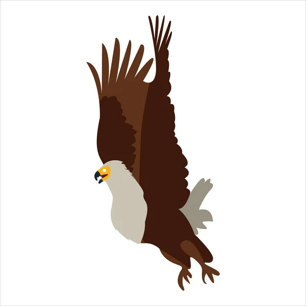 Sevimli hayvan kartalı klipsi sanat kuşu resimli çizgi film karakteri