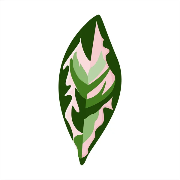 Botanik yaprak klipsi sanatı doğal illüstrasyon