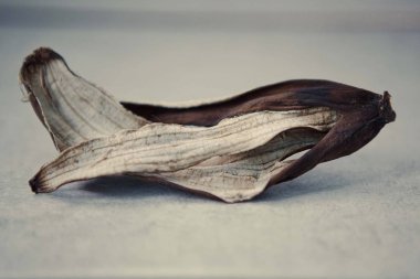 eski kurutulmuş muz kabuğu