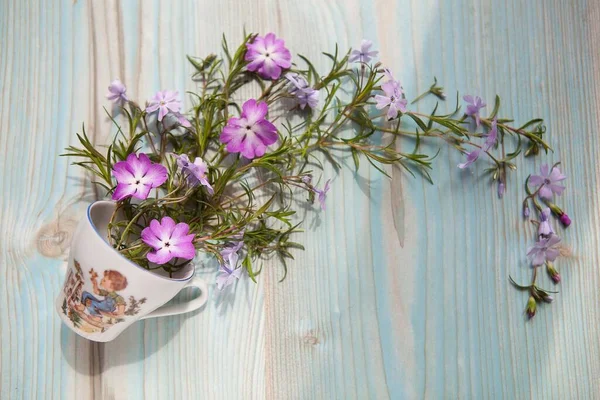 Frühlingskonzept Floraler Hintergrund Tasse Mit Rosa Und Violetten Blüten Auf lizenzfreie Stockbilder