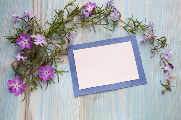Frühlingskonzept Floraler Hintergrund Rosa Und Violette Blumen Auf Blauem Holzgrund lizenzfreie Stockfotos