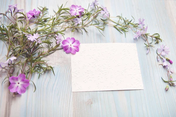 Frühlingskonzept Floraler Hintergrund Rosa Und Violette Blumen Auf Blauem Holzgrund Stockfoto