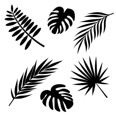 Tropik yaprak çiçeklerinin silueti. Bir dizi vektör çizimleri. Tropik yapraklar
