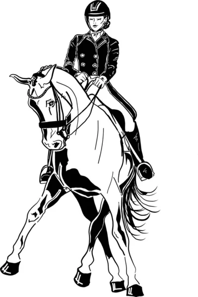 Obrazový Vektor Koně Ilustrace — Stockový vektor