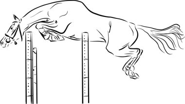 Akhal teke at serbest atlama siyah beyaz çizim