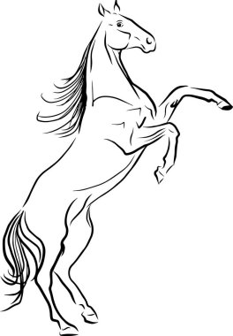 Arka ayaktaki at siyah beyaz el yapımı.