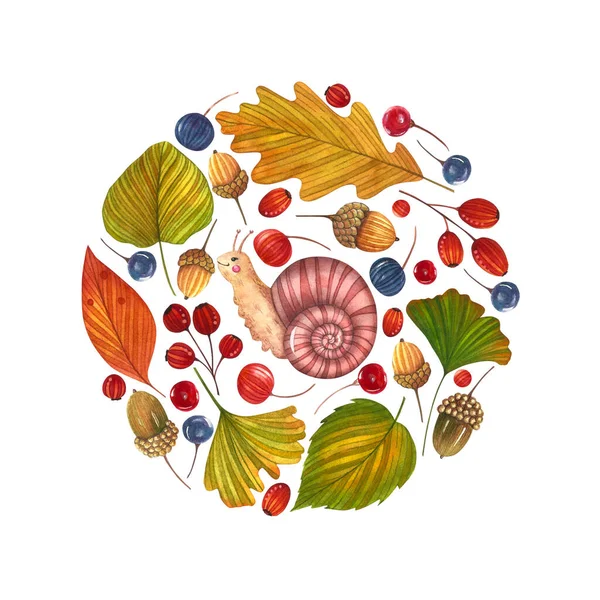 Autumn watercolor circle frame with colored leaves, berries and snail on the white background. Ideal for greeting card, invitation, banner and posters.