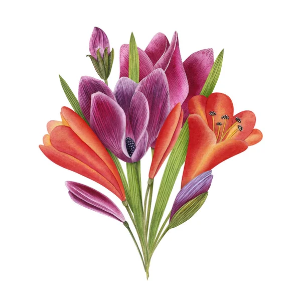 Χειροποίητη Σύνθεση Λουλουδιών Ακουαρέλας Εικονογραφήσεις Για Προσκλήσεις Γάμου Κάρτες Αυτοκόλλητα — Φωτογραφία Αρχείου