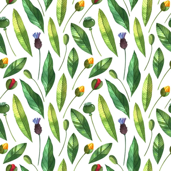 Watercolor Seamless Pattern Buds Leaves Bright Floral Background — Photo