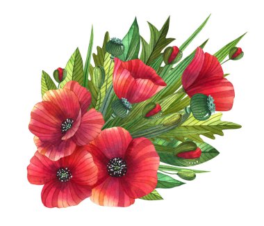 Düğün davetiyeleri, kartlar, parmak izleri için suluboya çiçek buketi. Yaprakları ve tomurcukları suluboya ile boyanmış gelincikler.