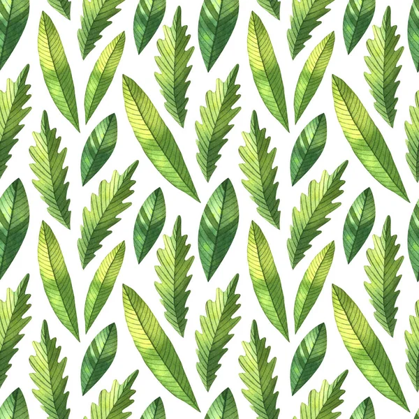 Aquarel Naadloos Patroon Met Herfstbladeren Witte Achtergrond Handgetekende Herfstachtergrond Natuurprint — Stockfoto