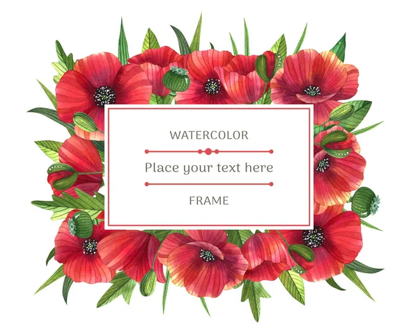 Helder Aquarel Frame Met Klaprozen Witte Achtergrond Wilde Bloemen Met — Stockfoto