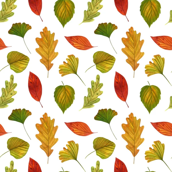 水彩斑斓的无缝图案 秋天多彩的叶子在白色的背景上 手工绘制的秋天背景 秋天装饰用带有叶子的可爱自然印刷品 — 图库照片