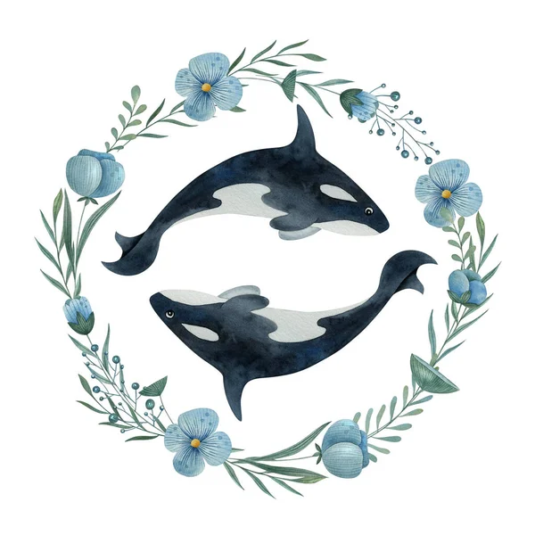 Acuarela Ilustración Dibujada Mano Animales Marinos Sobre Fondo Blanco Ballena — Foto de Stock