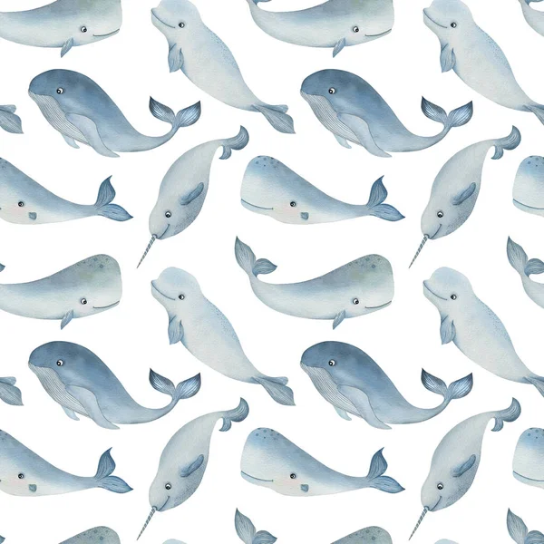 Arktik Hayvanlarla Suluboya Desenli Beyaz Arka Planda Balina Kakalot Deniz — Stok fotoğraf