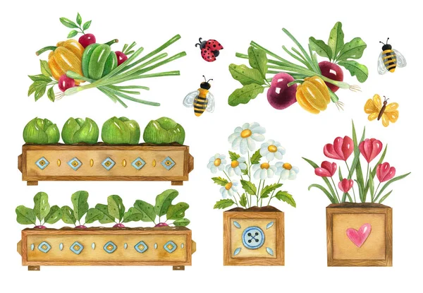 Akvarell Kertészeti Készlet Növényekkel Zöldségekkel Virágokkal Rovarokkal Fényes Kézzel Festett — Stock Fotó