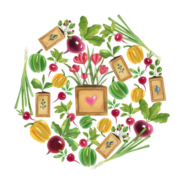 Hand Painted Watercolor Frame Template Fresh Vegetables Colored Illustration Home — 스톡 사진