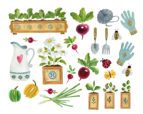 Watercolor Gardening Set Bright Hand Painted Illustration Tools Vegetables Insects — Stock Photo, Image