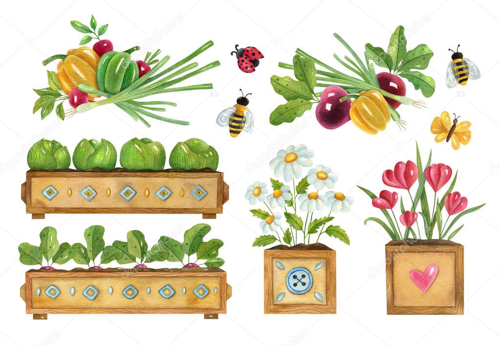 Watercolor gardening set with plants, vegetables, flowers, and insects. Bright hand-painted illustration of gardening seedlings, cabbages, beetroots, radish camomiles, and floral compositions.