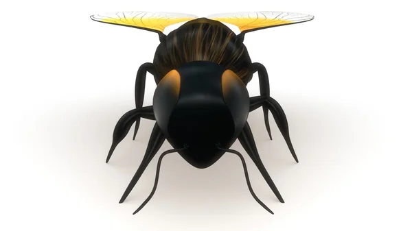 Abeja miel insecto —  Fotos de Stock
