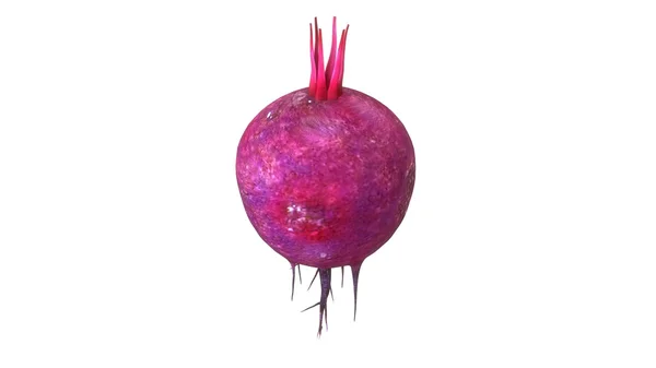 Red raw beetroot vegetable — Stock Photo, Image