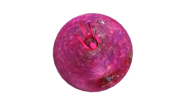 Czerwony Burak surowy warzywo — Zdjęcie stockowe