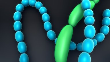 Anabaena, ipliksi Siyanobakteriler, plankton