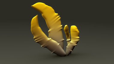  Ascomycetes mantar, ascomycota 