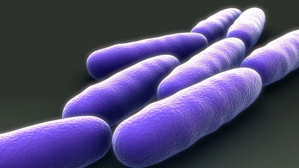Бактерии, микробы Умножение — стоковое фото