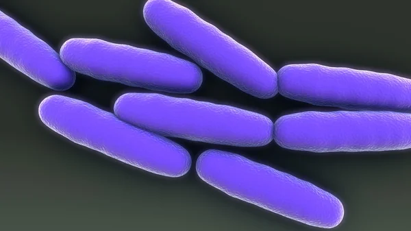 Bacterias, microbios Multiplicación — Foto de stock © sciencepics