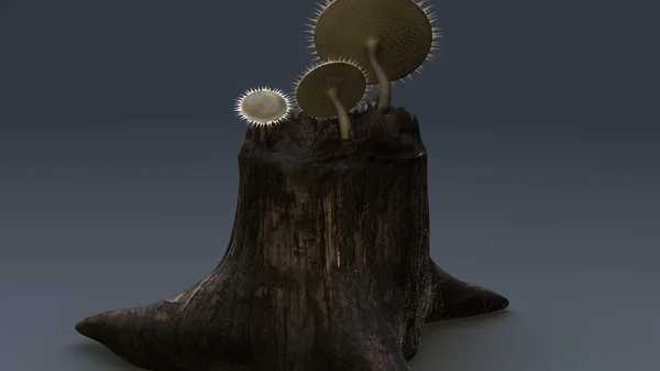 Deuteromyceten, unvollkommene Pilze — Stockfoto