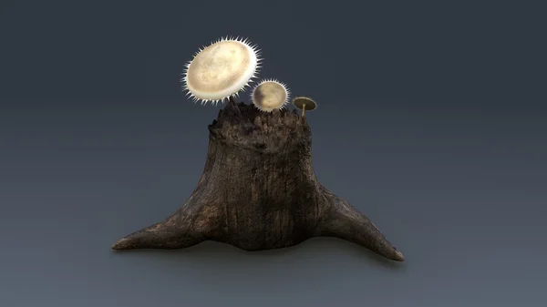 Deuteromycetes, недосконалі гриби — стокове фото