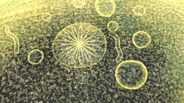Parazit, entamoeba histolytica