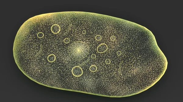 Parazit, entamoeba histolytica — Fotografie, imagine de stoc