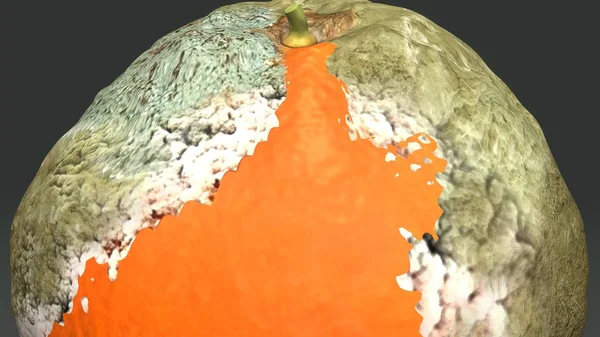 Гнилі Оранжевий плід — стокове фото