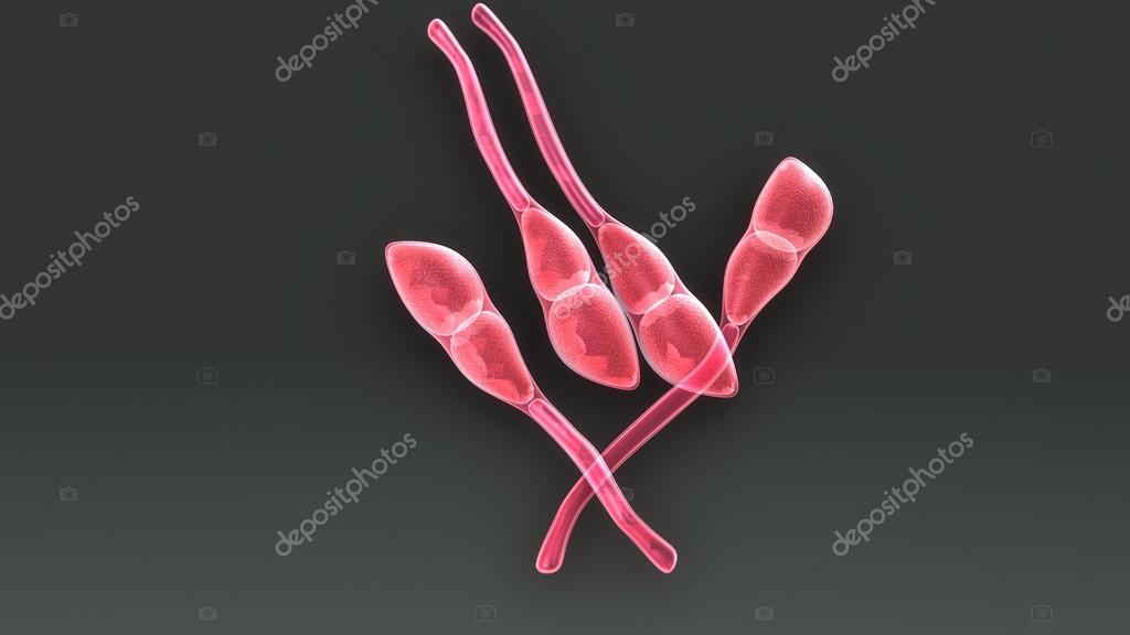 sciencepics